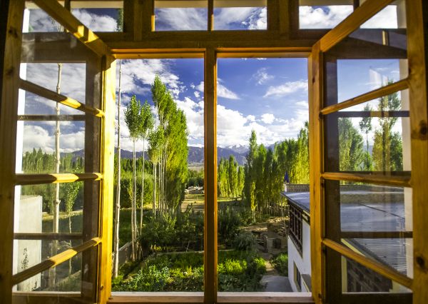 Wood Window Replacement in Green Valley