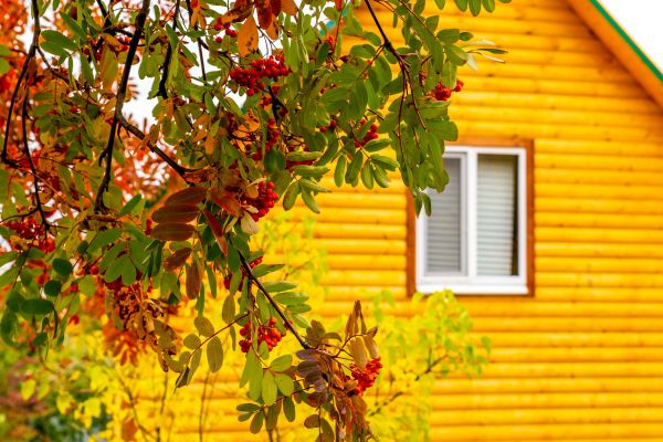 Cost of Garden Window Replacement in Green Valley